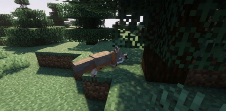  Shadews Foxes  Minecraft 1.17