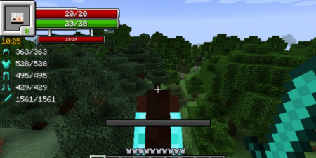  RPG-Hud  Minecraft 1.16.5