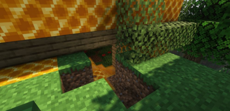  Queen Bee  Minecraft 1.16.5