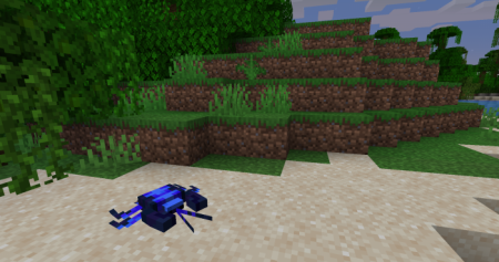  Aquafina  Minecraft 1.16.4