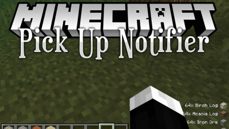  Pick Up Notifier  Minecraft 1.17