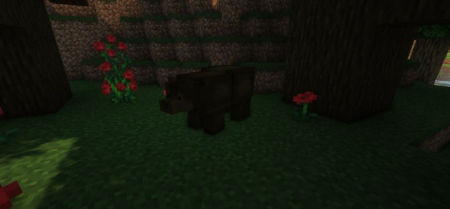  Bizzare Animals  Minecraft 1.16.4