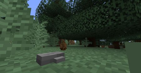  This Rocks  Minecraft 1.17.1