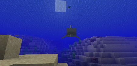  Identity  Minecraft 1.17.1