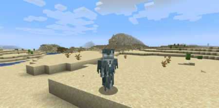  Identity  Minecraft 1.17.1