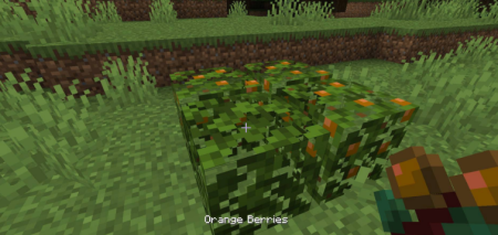  More Berries  Minecraft 1.17