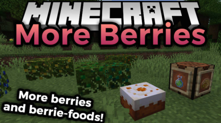  More Berries  Minecraft 1.17