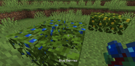  More Berries  Minecraft 1.17.1