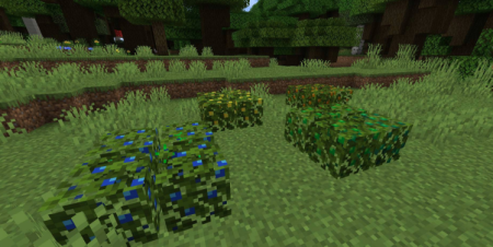  More Berries  Minecraft 1.17.1