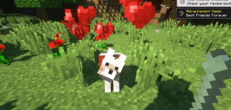  Respawnable Pets  Minecraft 1.16.5