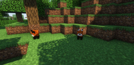  Raccoons Mod  Minecraft 1.16.4
