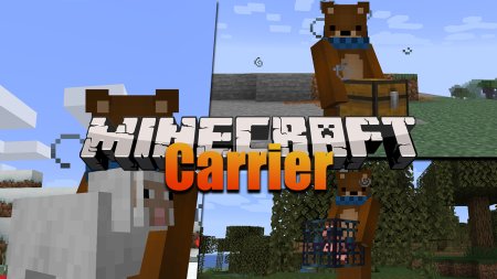  Carrier Mod   Minecraft 1.17