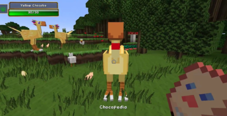  ChocoCraft  Minecraft 1.16.5