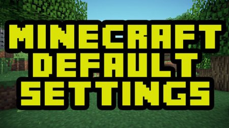  Default Options  Minecraft 1.17.1