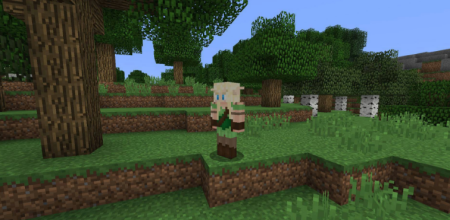  Better Creatures  Minecraft 1.16.4