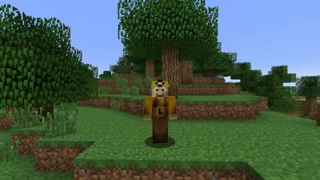  Chunk Pregenerator  Minecraft 1.14.4