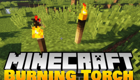  Burning Torches  Minecraft 1.12.2