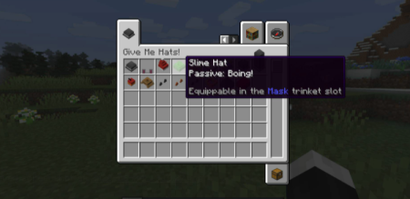  Give Me Hats  Minecraft 1.17