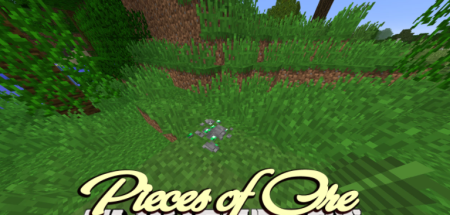  Pieces of Ore  Minecraft 1.11.2