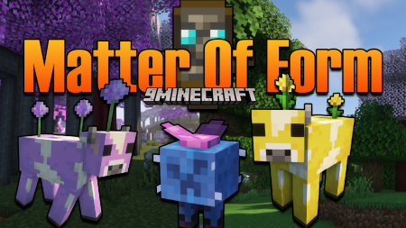  Matter of Form  Minecraft 1.16.4