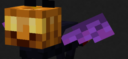  Pumpkin Cat  Minecraft 1.17