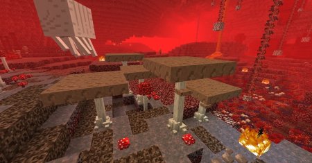  Better Nether  Minecraft 1.16.5