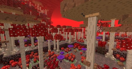  Better Nether  Minecraft 1.16.5