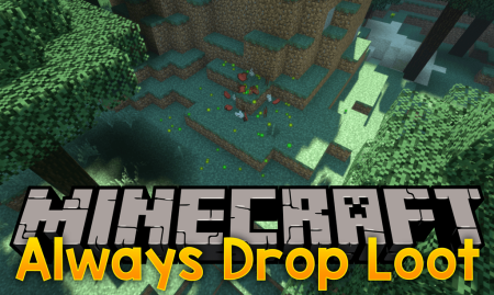  Always Drop Loot  Minecraft 1.17