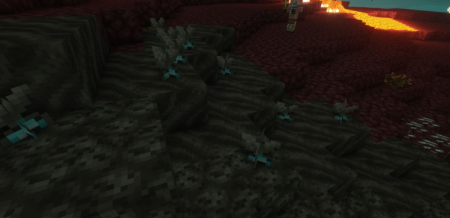  The Nethers Flora  Minecraft 1.16.4