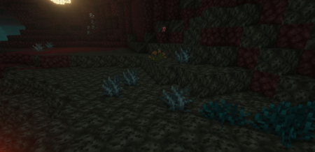  The Nethers Flora  Minecraft 1.16.4