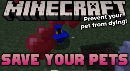  Save Your Pets  Minecraft 1.17