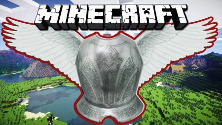  Colytra  Minecraft 1.17.1