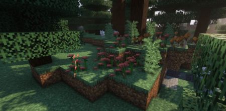  Biome Revamp  Minecraft 1.16.4