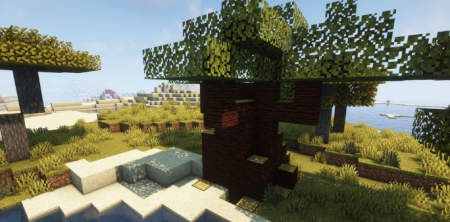  Biome Revamp  Minecraft 1.16.4