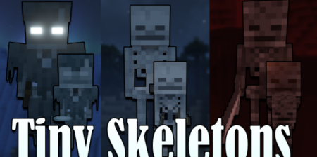  Tiny Skeletons  Minecraft 1.17.1