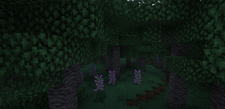  Generic Ecosphere  Minecraft 1.16.1