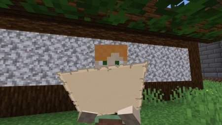  Not Enough Animations  Minecraft 1.17.1