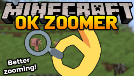  Ok Zoomer  Minecraft 1.16.5