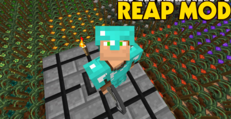  Reap Mod  Minecraft 1.16