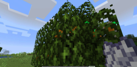  Fruit Trees  Minecraft 1.16