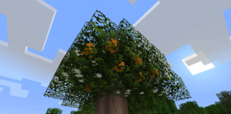  Fruit Trees  Minecraft 1.16