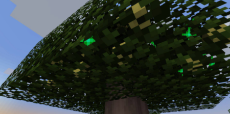  Fruit Trees  Minecraft 1.16