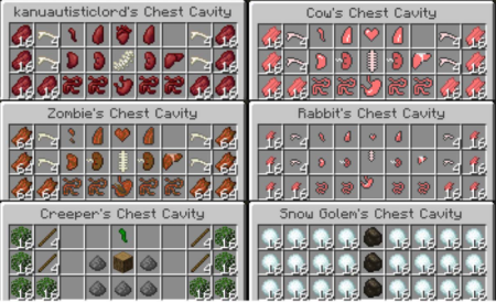  Chest Cavity  Minecraft 1.16