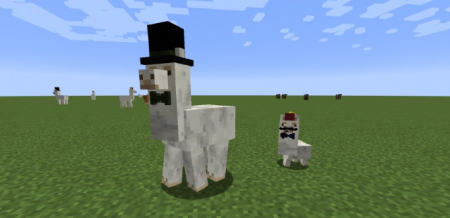  Better Than Llamas  Minecraft 1.18.1