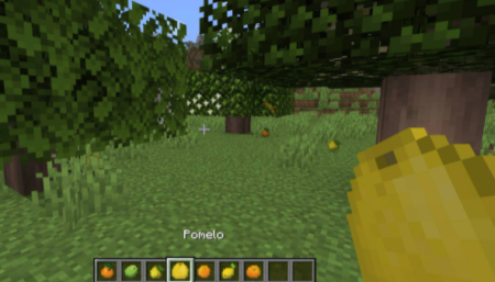  Fruit Trees  Minecraft 1.16.4