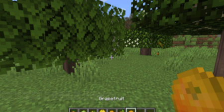  Fruit Trees  Minecraft 1.16.4