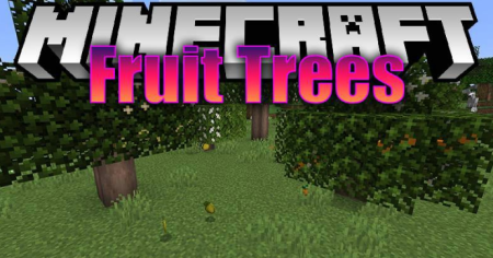  Fruit Trees  Minecraft 1.16.4