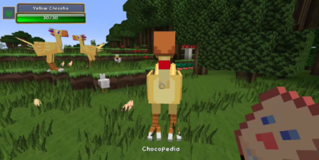  ChocoCraft  Minecraft 1.17.1