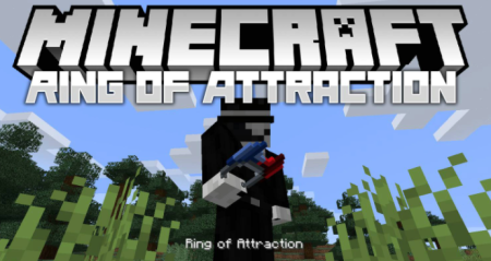  Ring of Attraction  Minecraft 1.18