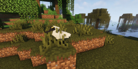  Fauna  Minecraft 1.16.1